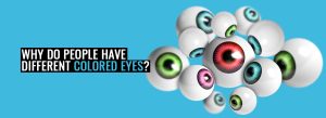 different-colored-eyes